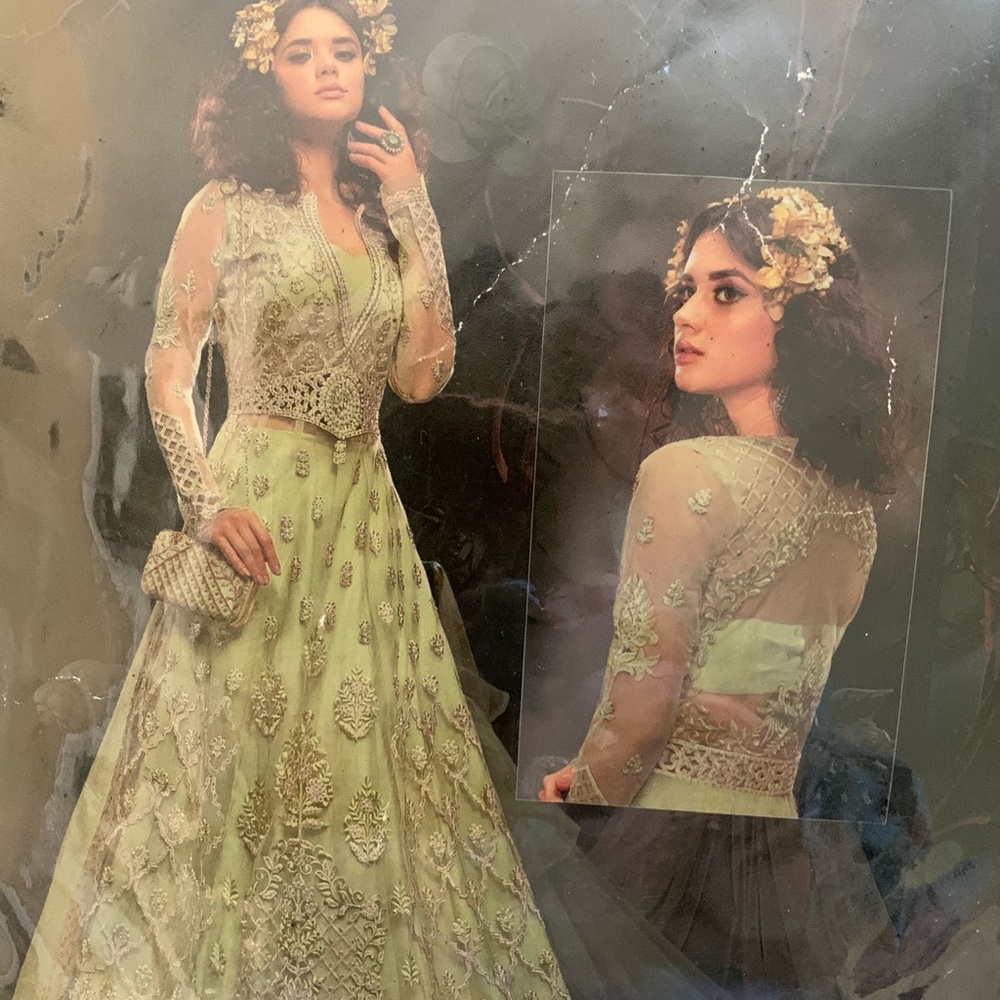 Indian/Pakistani Party Wear Dress